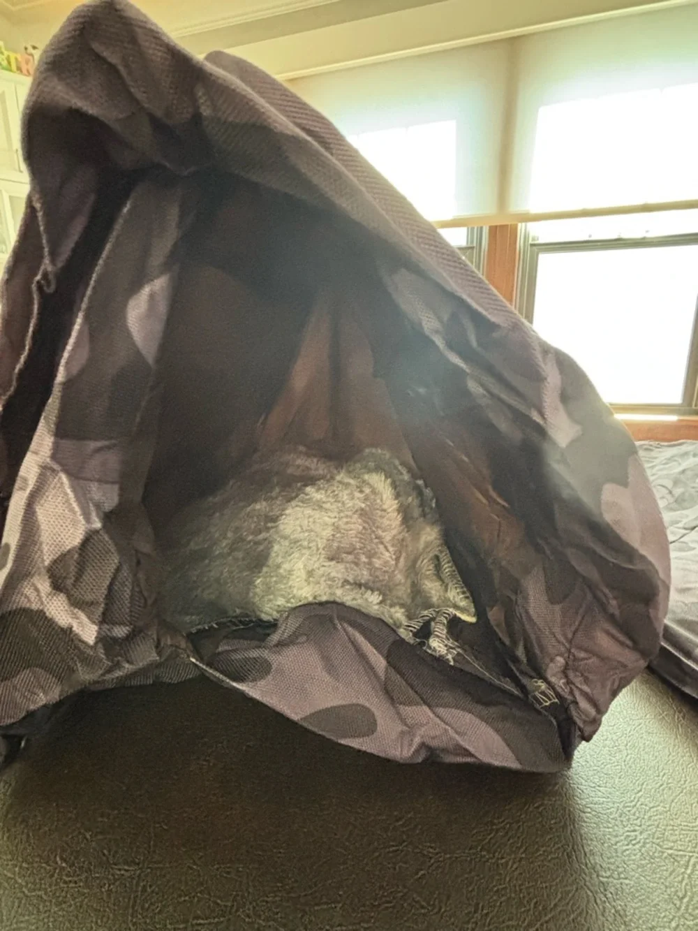 Cat beds (2) - outdoor, brand new, never used - purchased from Amazon